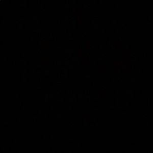 Meet your Posher, Juhlia